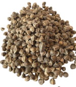 Murungai Paruppu - 500g - Image 3
